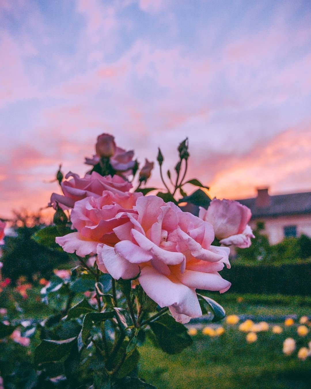 Благослоловеного вечера