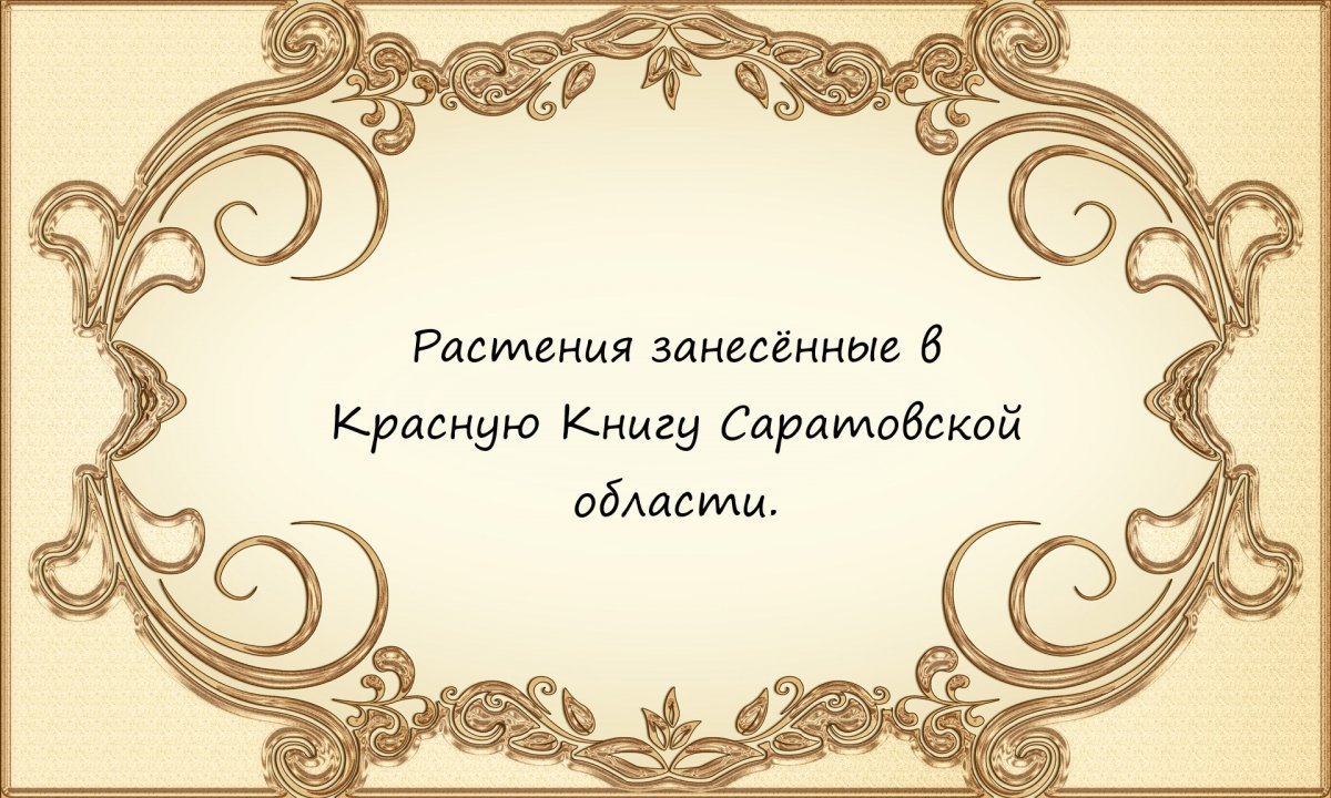 Выпускной бал фон