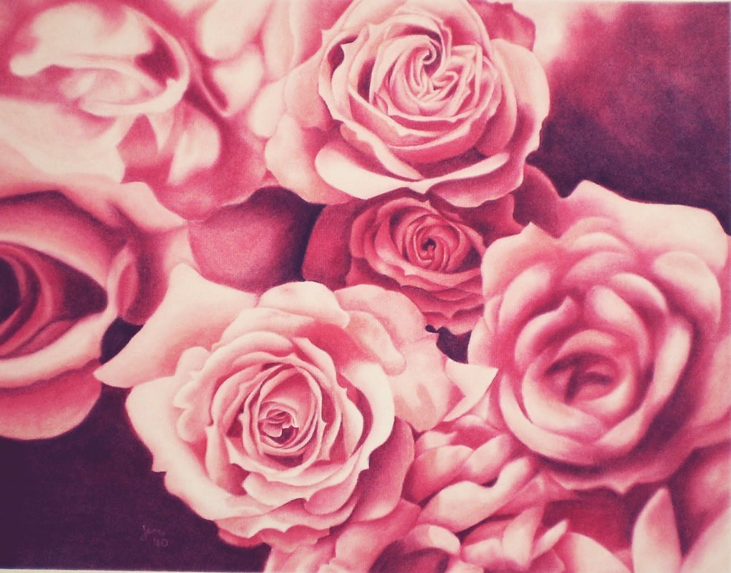 Розовые цветы розы арт