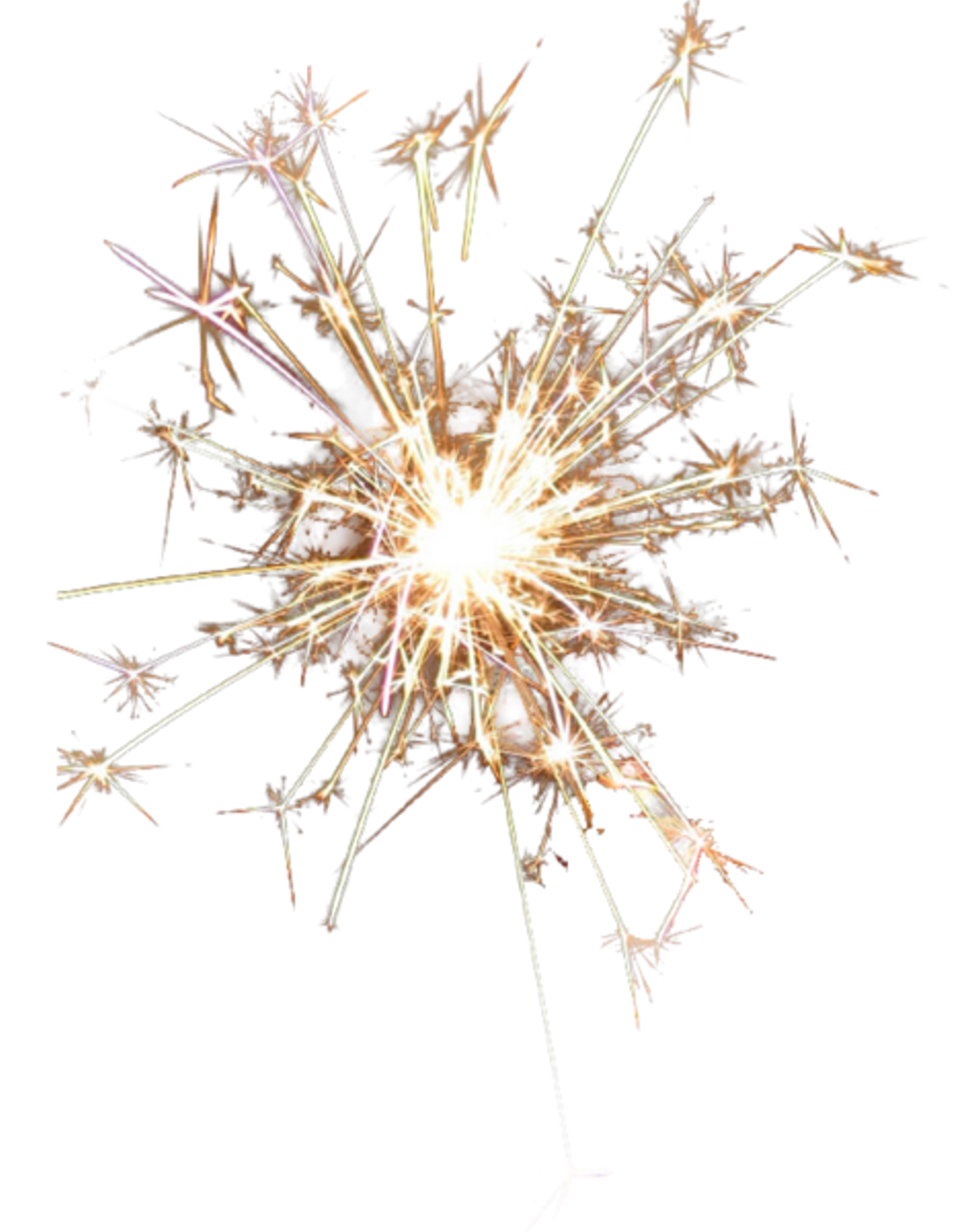 Бенгальскте огнина белом фоне