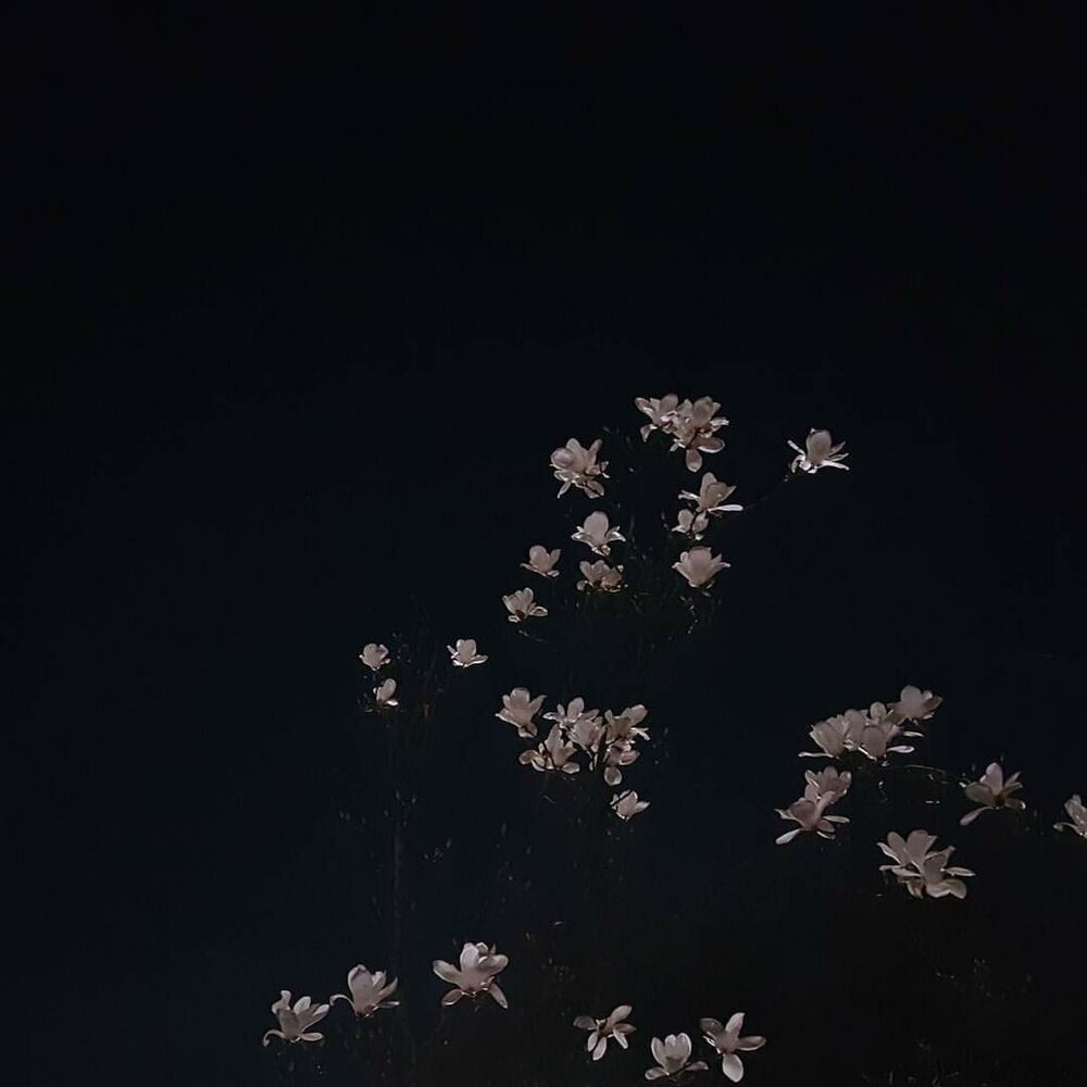 Темная Эстетика