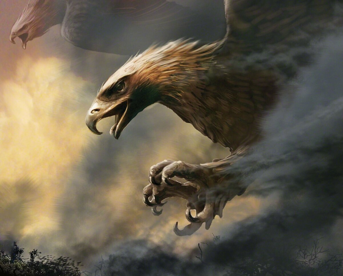 Торондор Орел