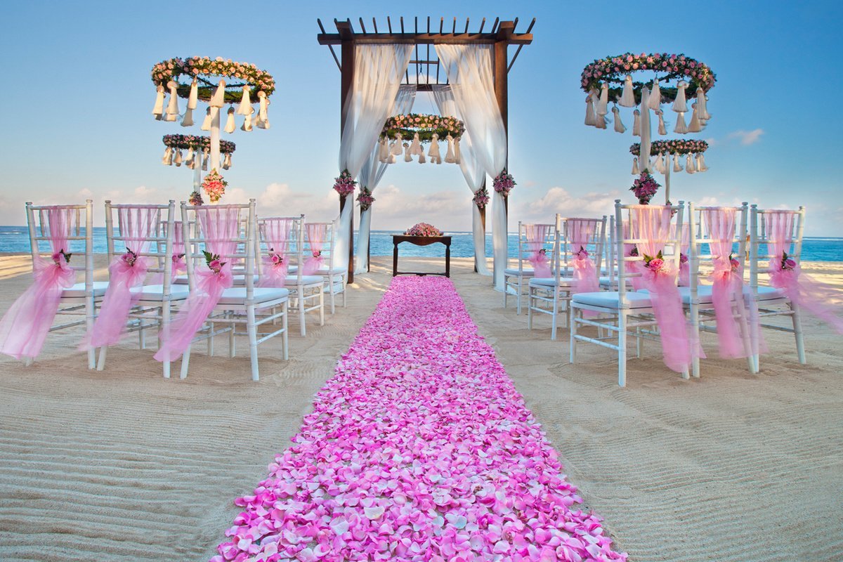 Свадьба без людей