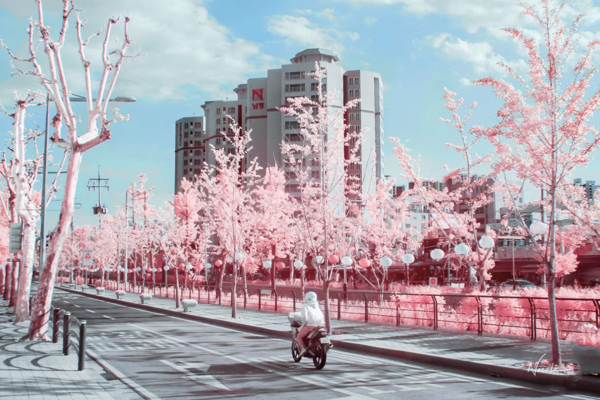 Корея Сеул Эстетика арт