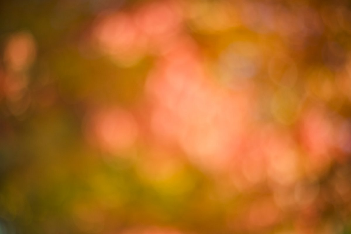 Осенние листья на Красном фоне