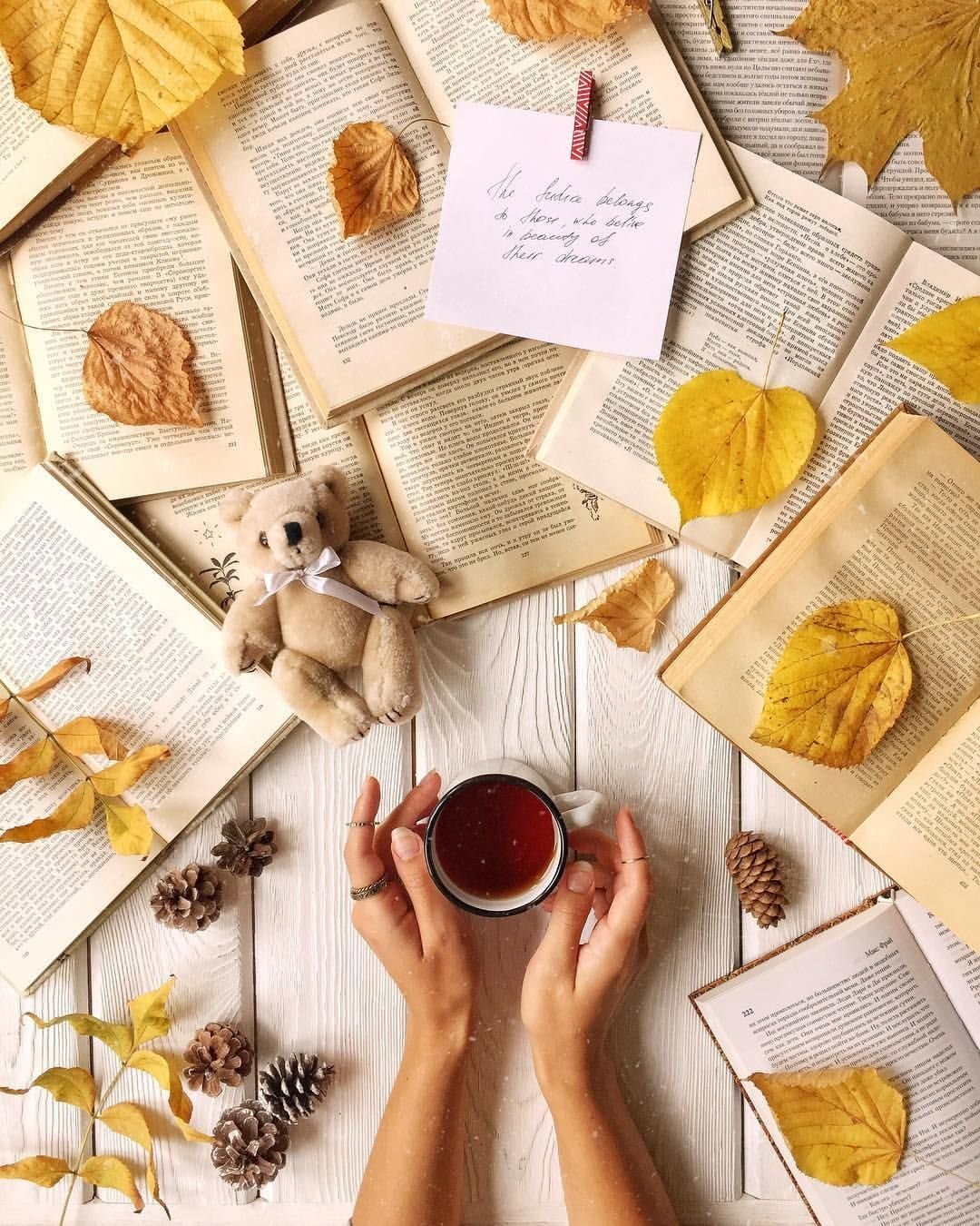 Осень Вдохновение