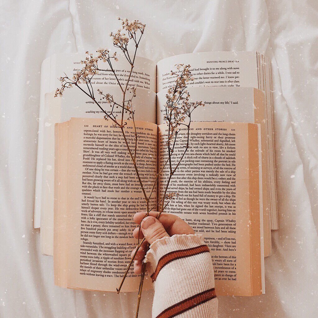 Книги Эстетика бежевый