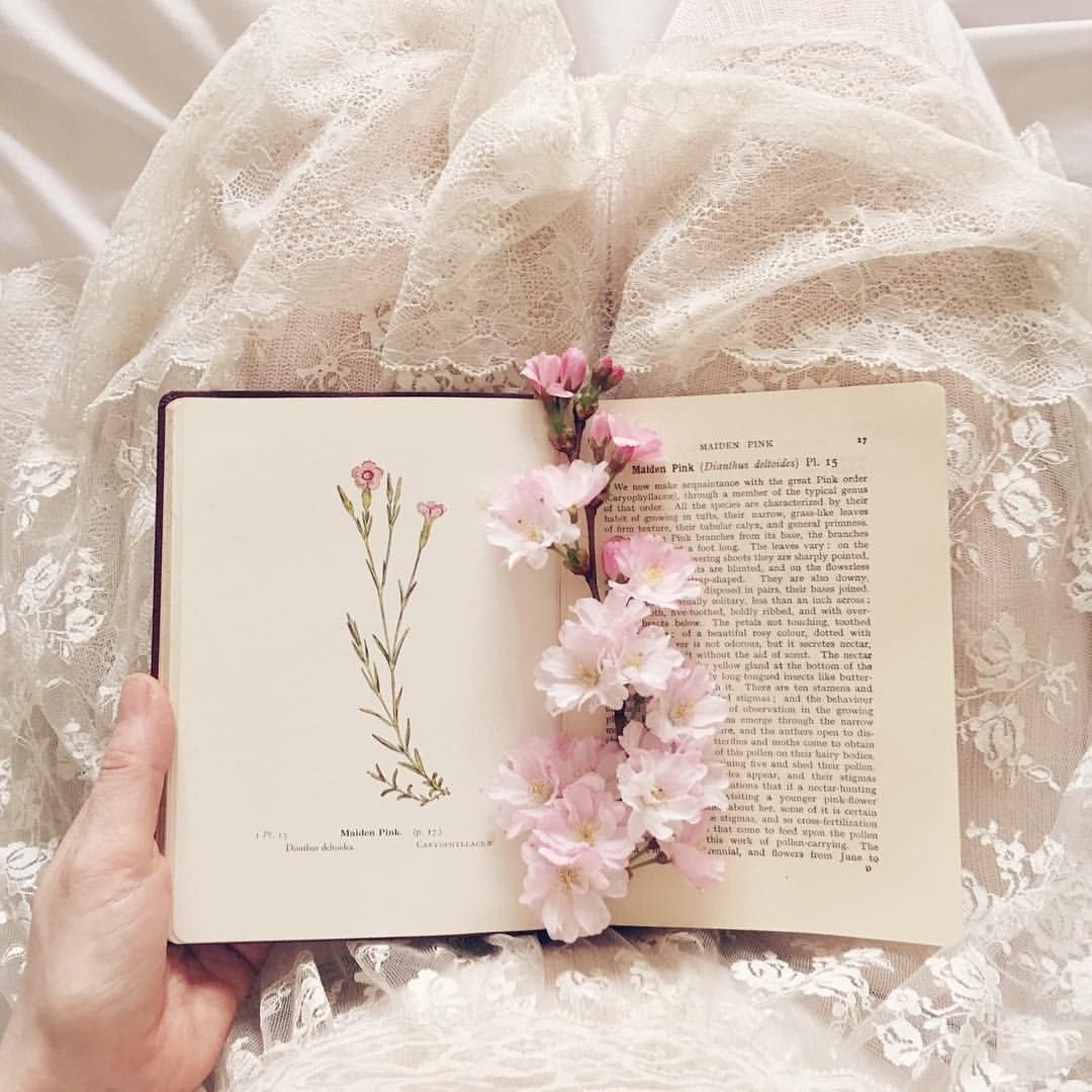 Бежево розовая Эстетика