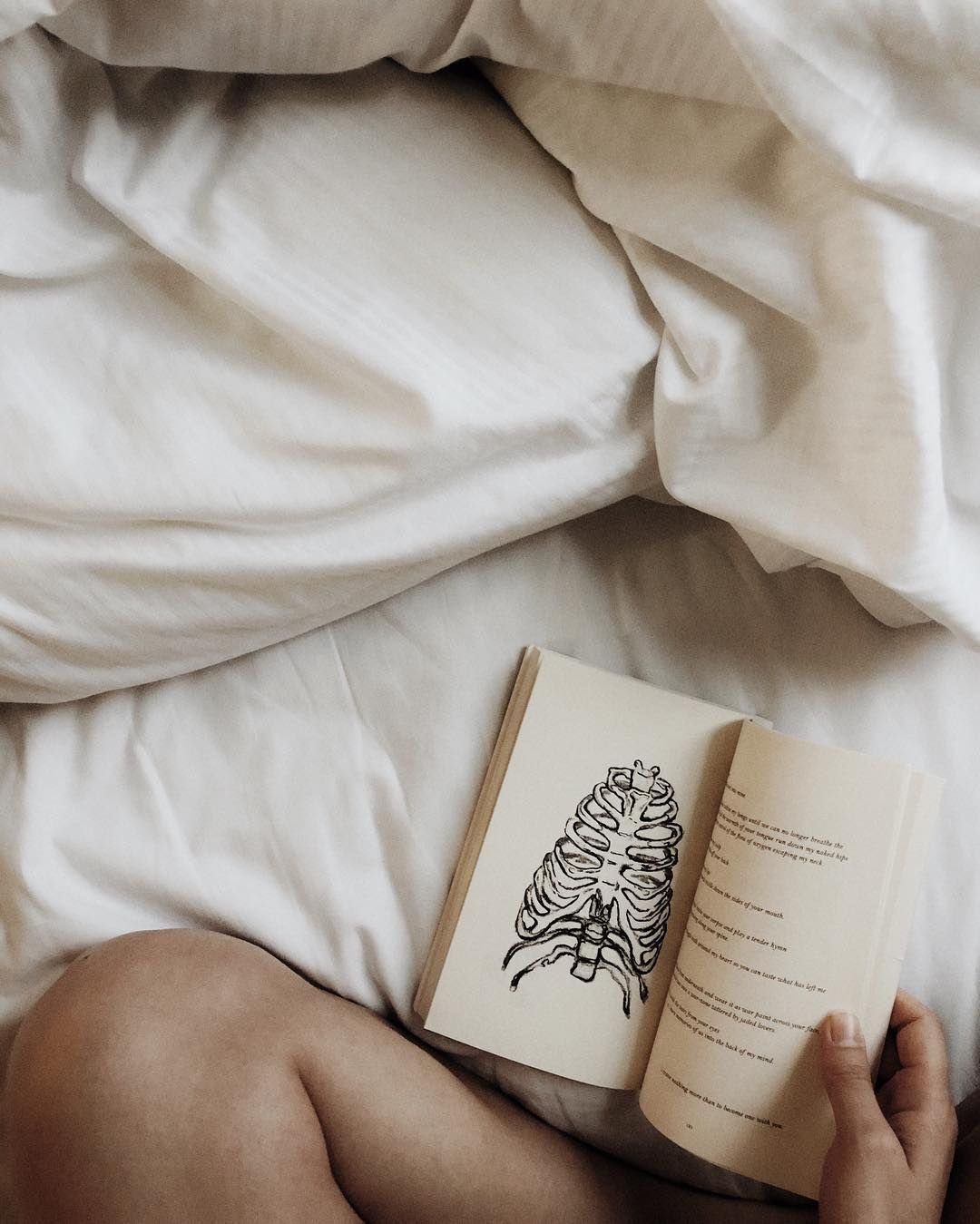 Красивые фоны книжки