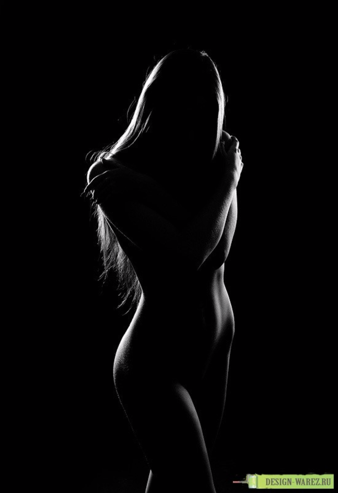 Красивый женский силует