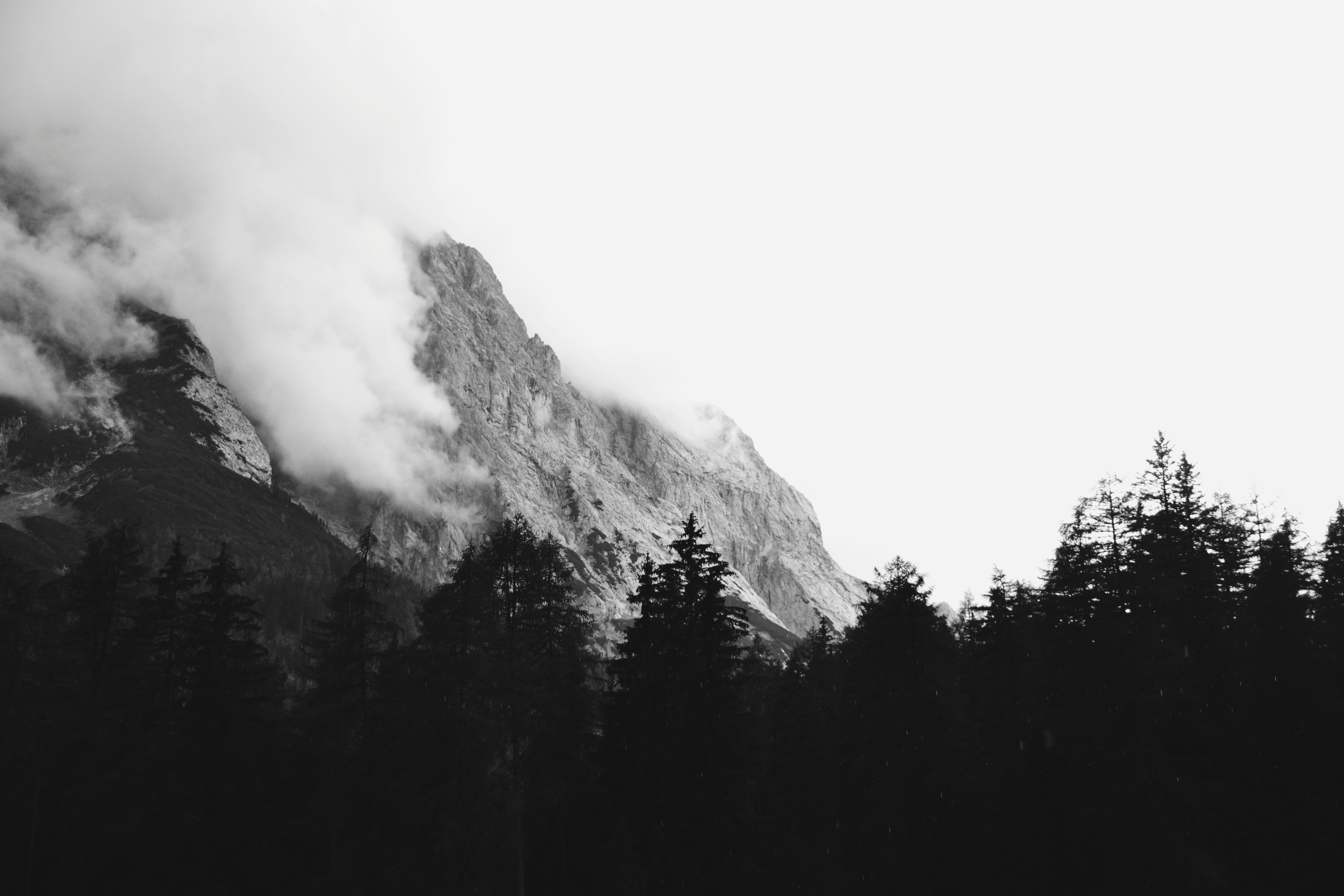 Пика дымок. Лес и горы черно белый. Черно белый лес. Горы чб. Unsplash горы.