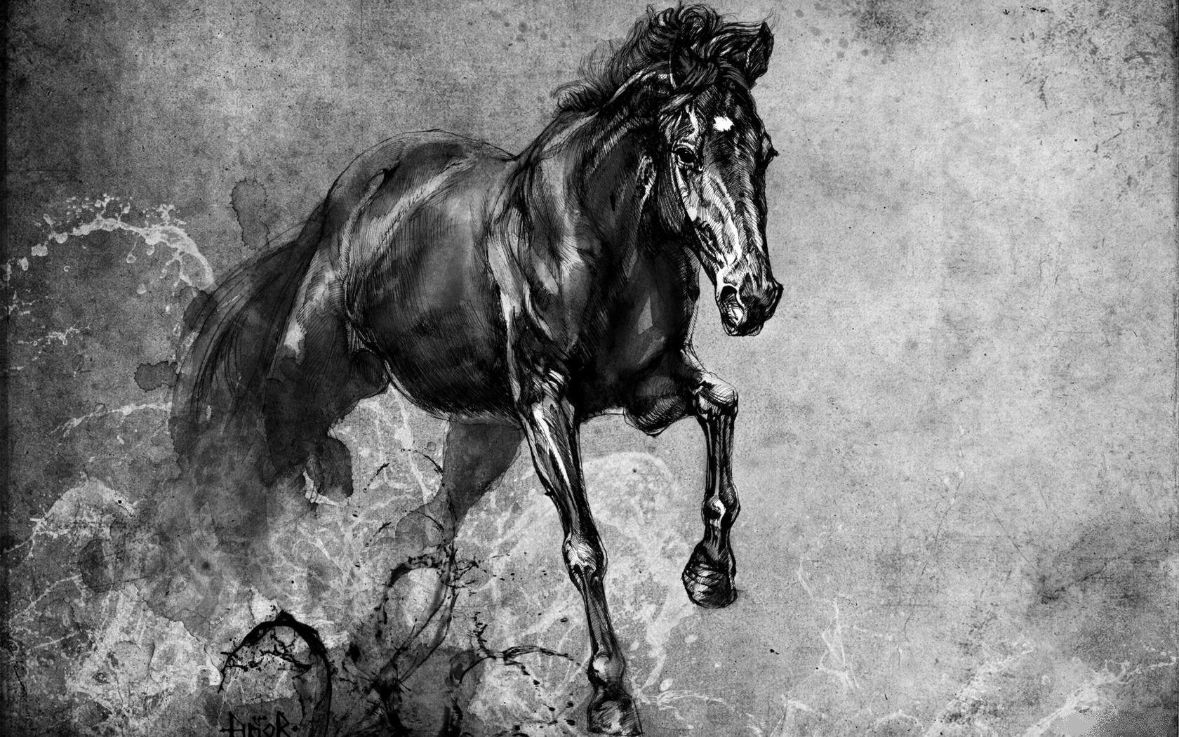 Про черного коня. Черный конь. Конь на черном фоне. Лошадь рисунок. Лошадь черно белая.