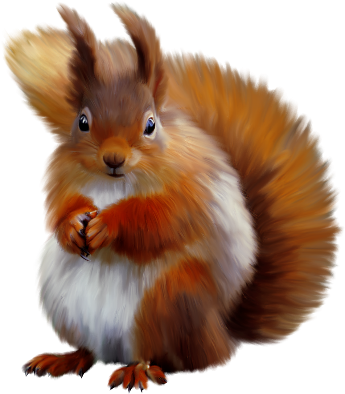 Белка для детей