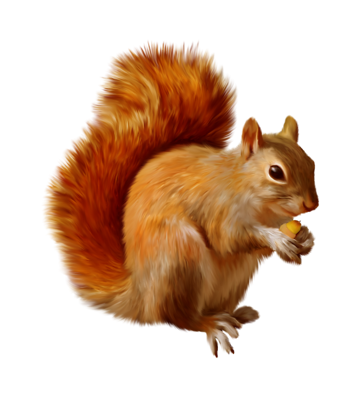 Животные на белом фоне