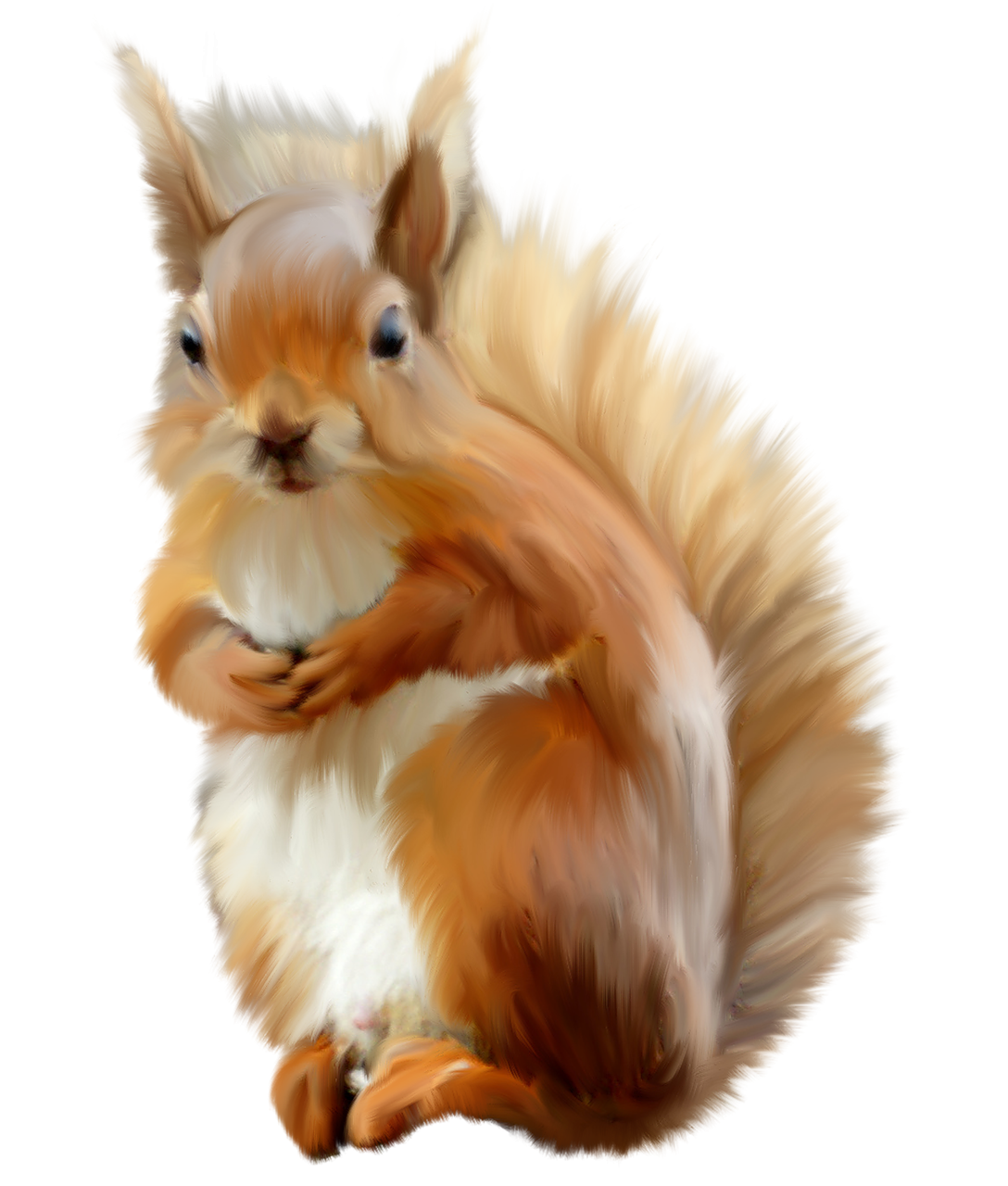 Белочка на прозрачном фоне