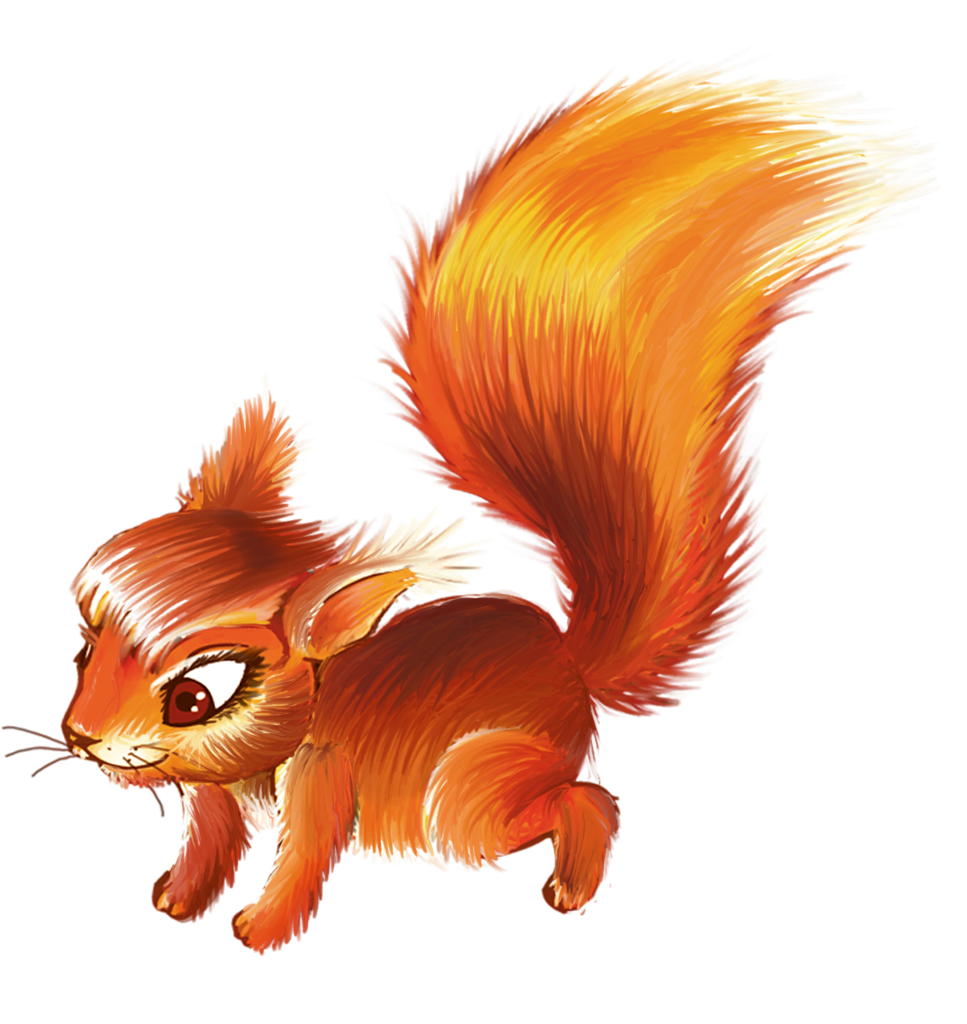 Белочка рисунок