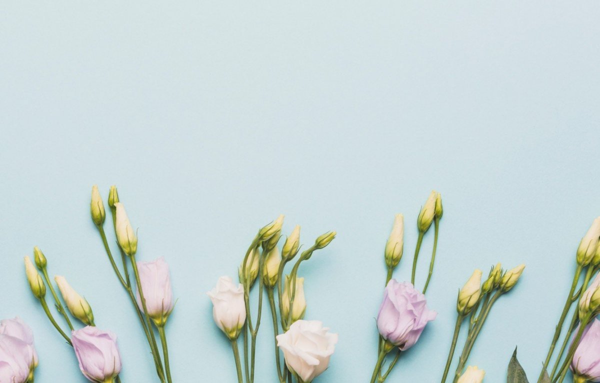 Сухие цветы Эстетика