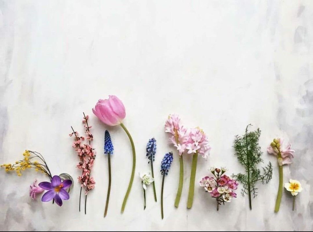 Осенне зимний фон