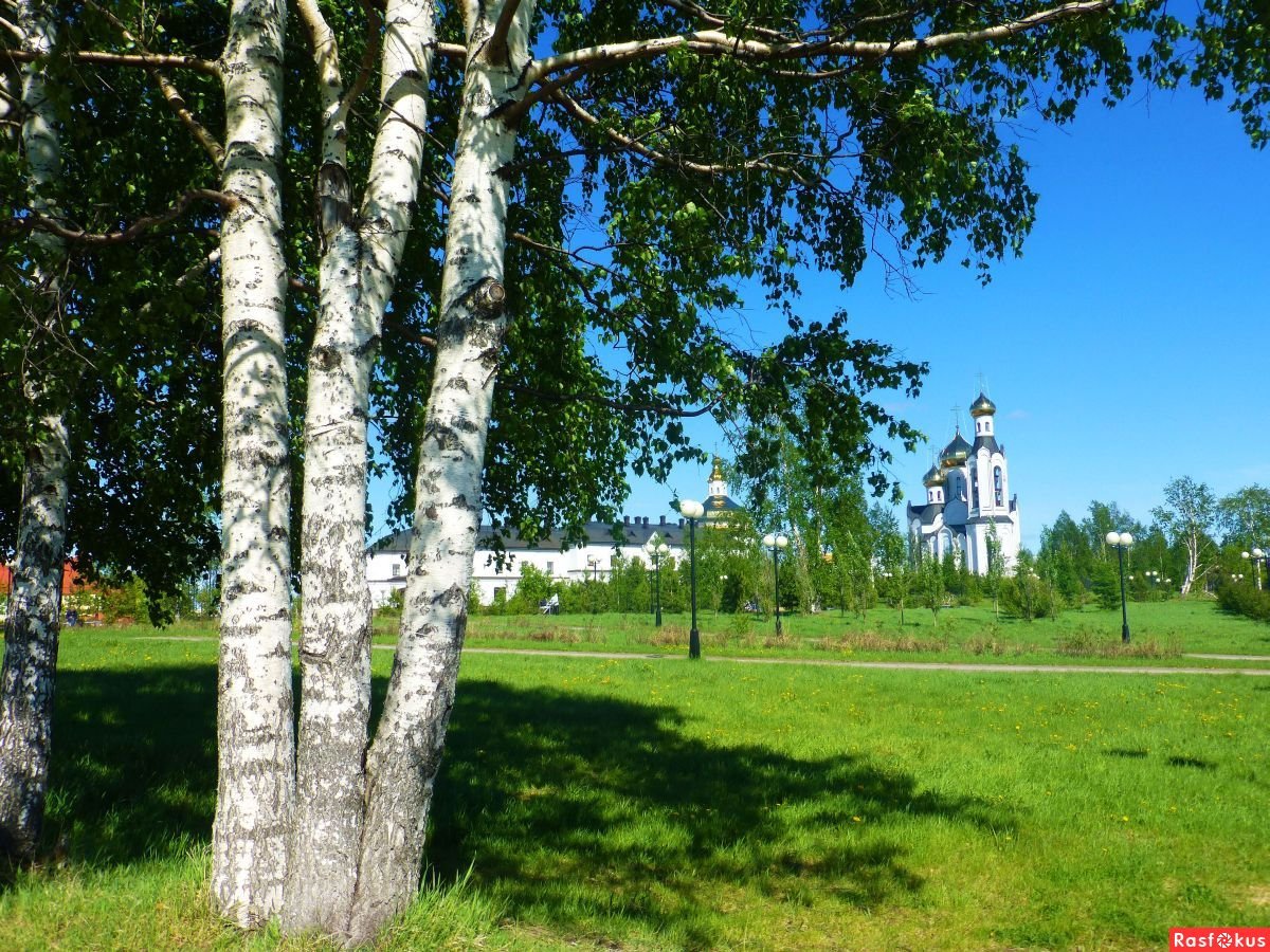Берёзы храм Русь
