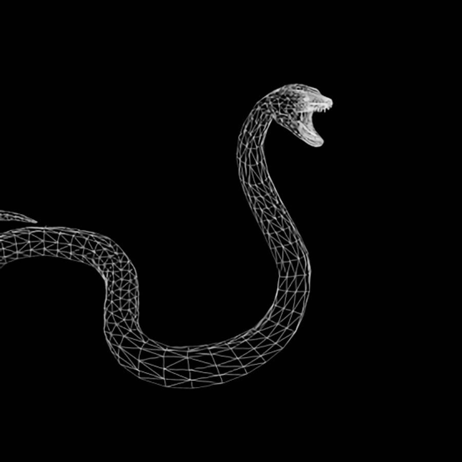 Змея рисунок