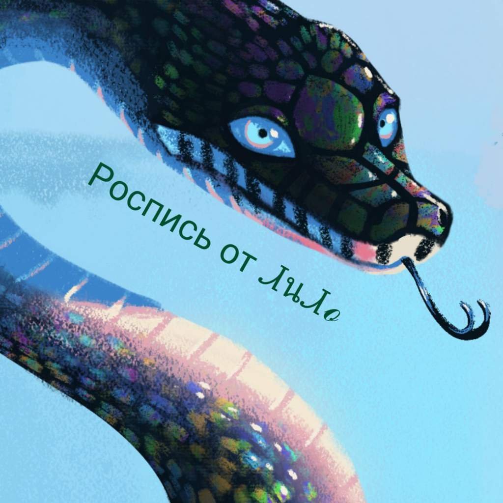 Атака бумсланг змея