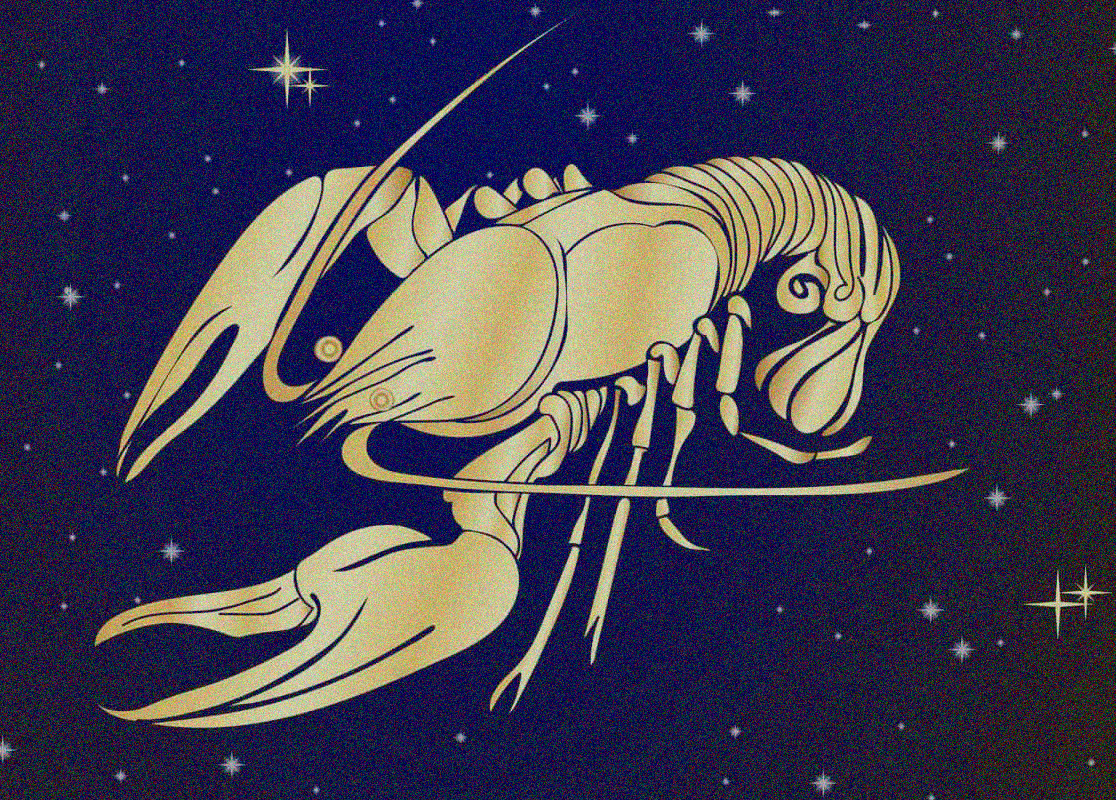 Звездное небо знаки зодиака вектор