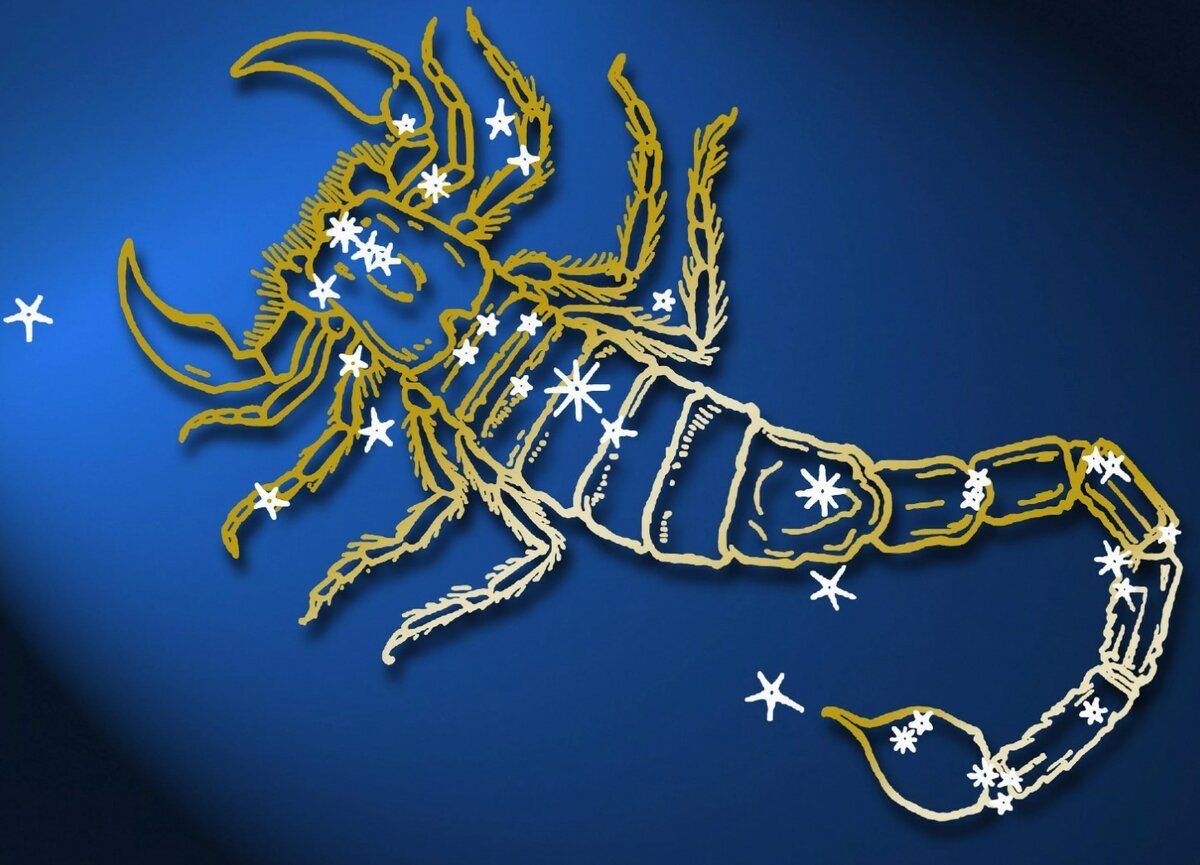 Скорпион Зодиак