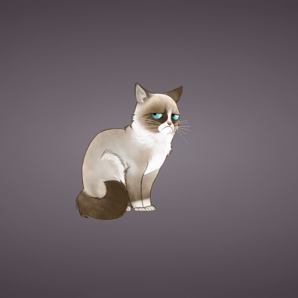Кошка Минимализм