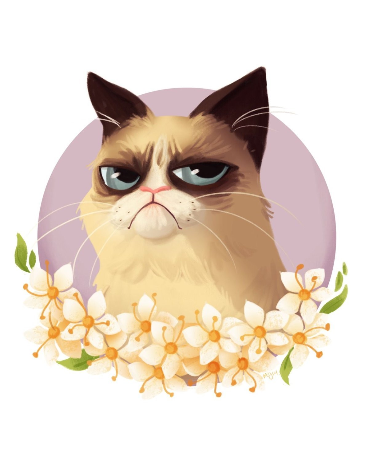 Недовольный кот