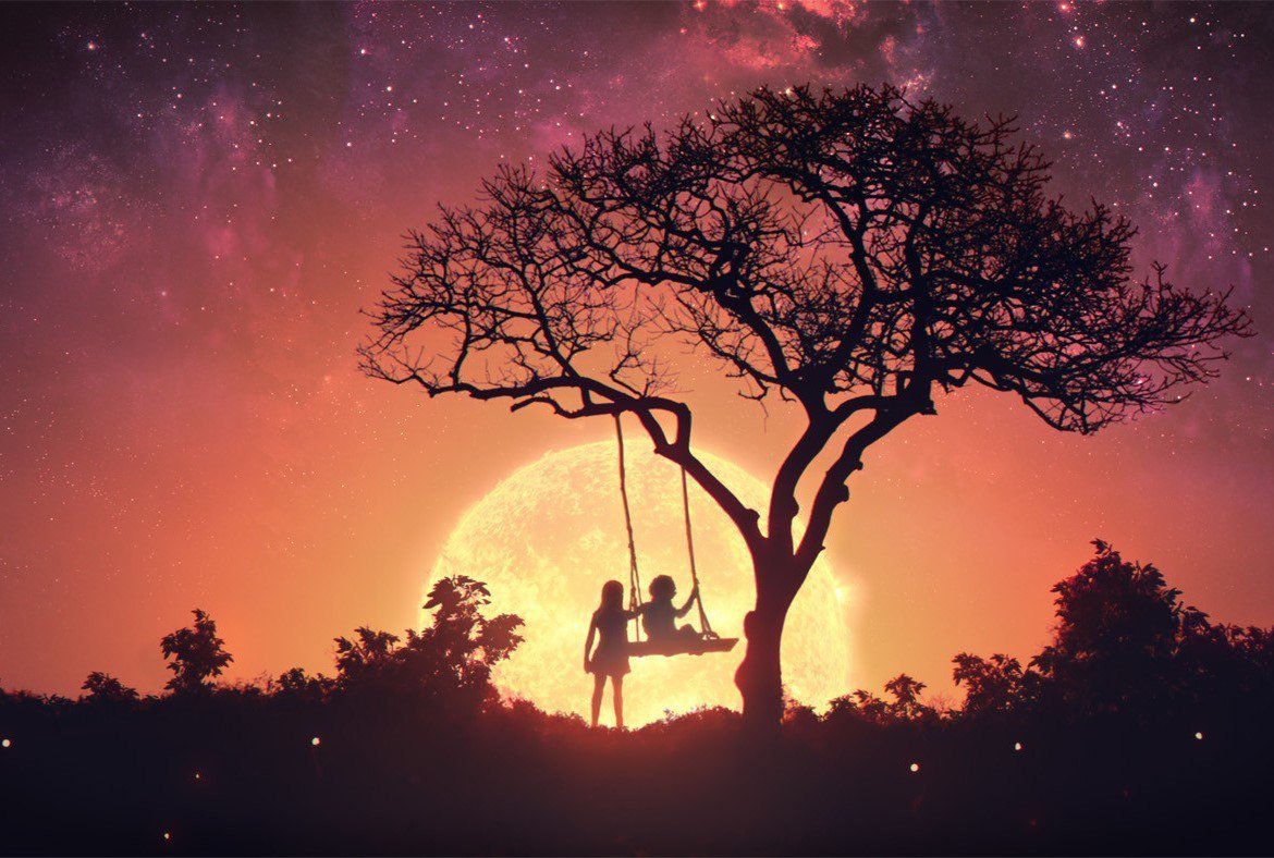 Дерево на фоне заката арт