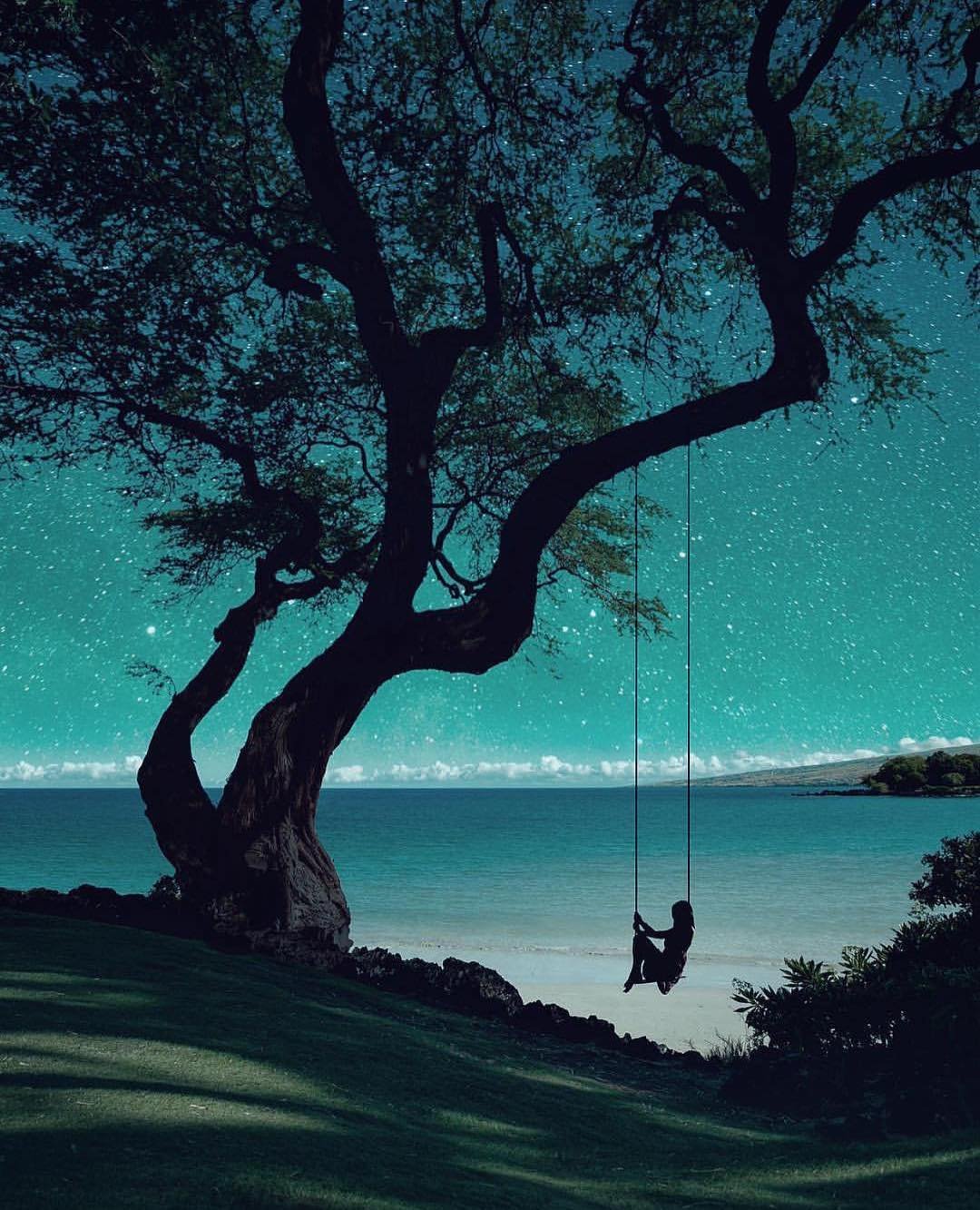 Ночь фэнтези