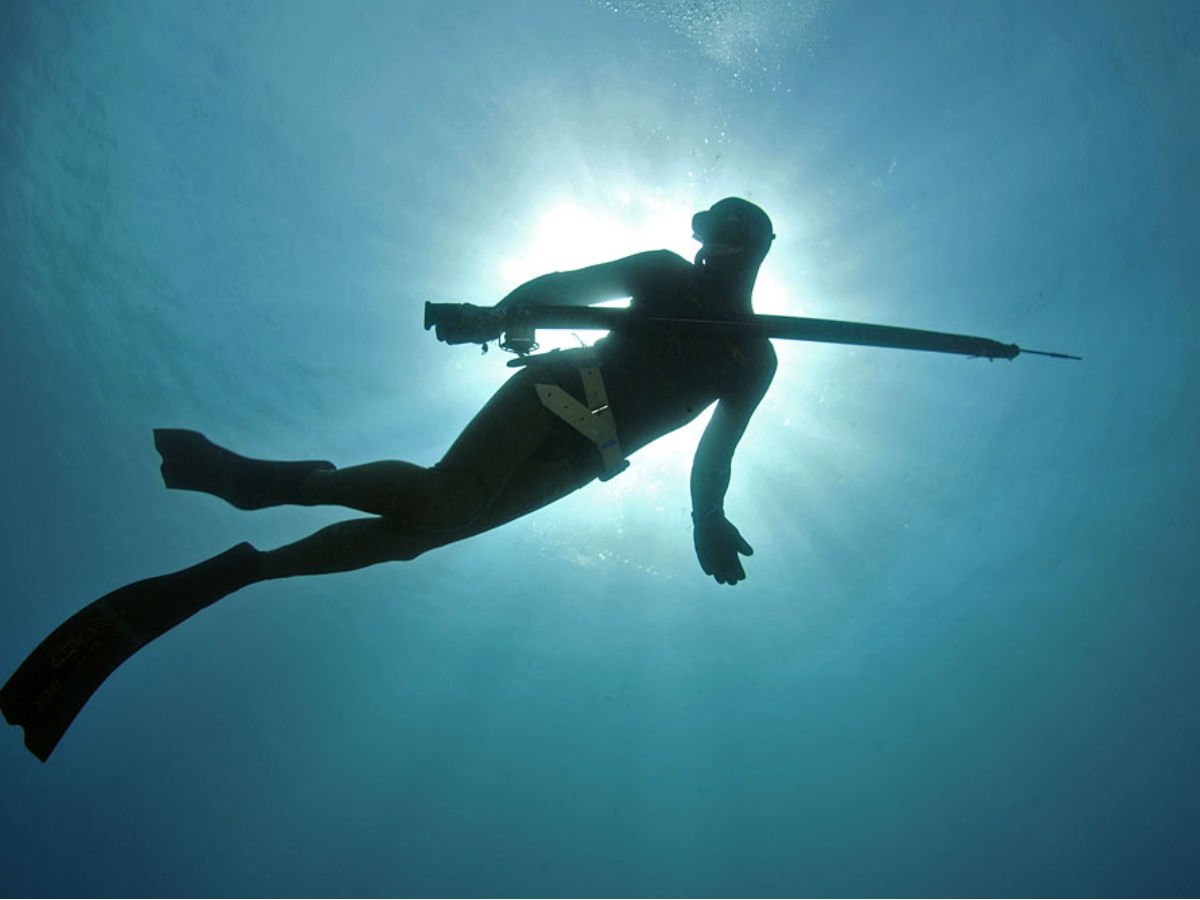 Подводная рыбалка