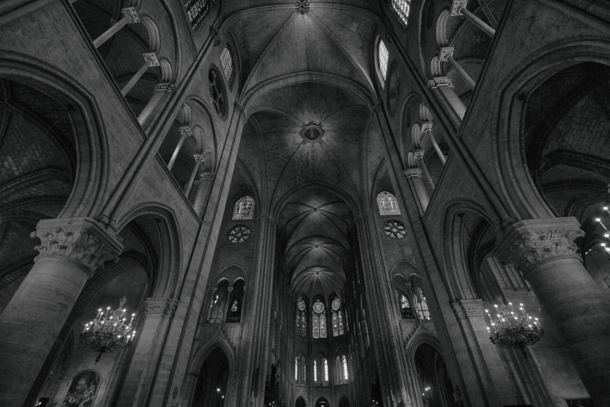 Собор Парижской Богоматери Эстетика