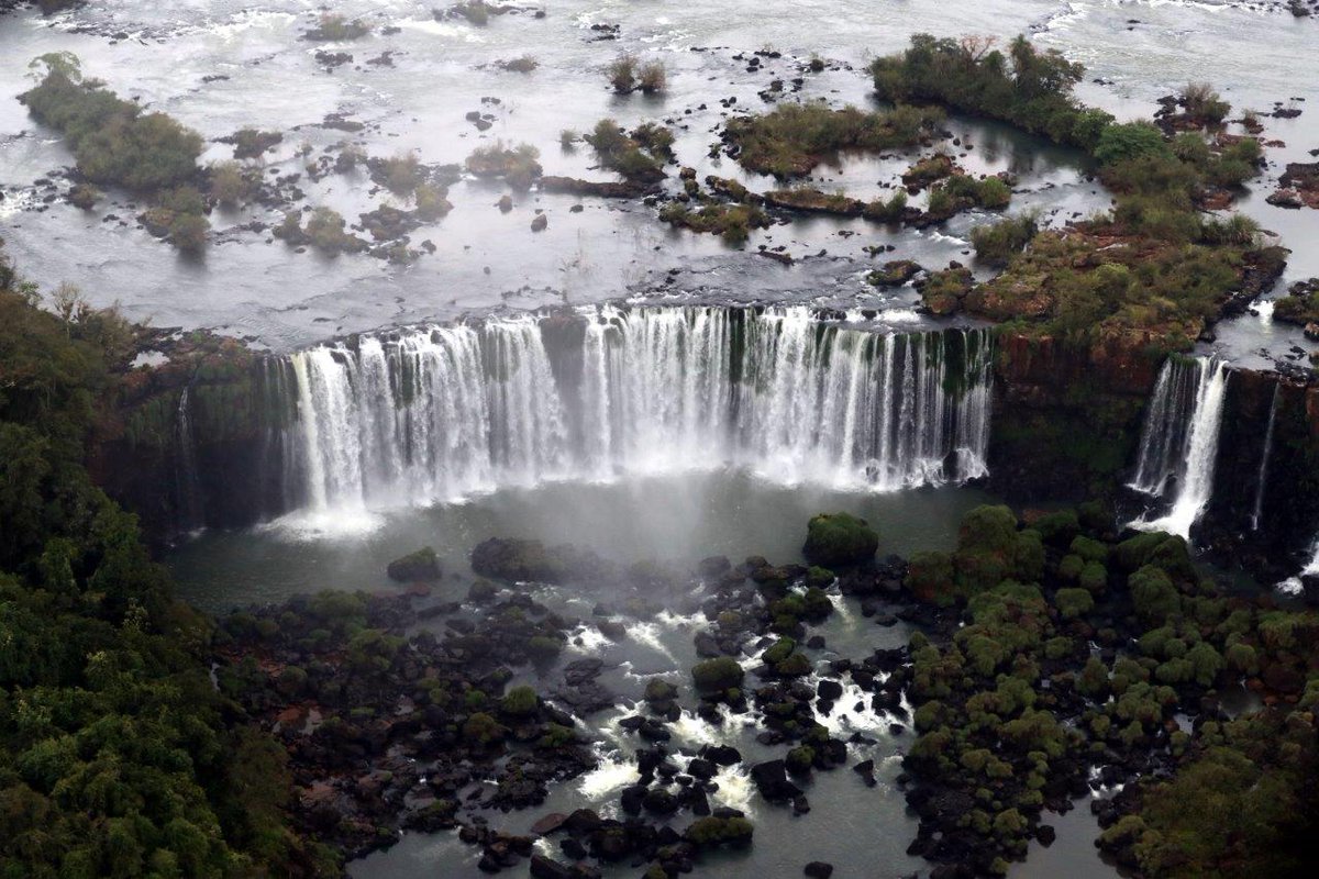 Iguazu Falls экосистема