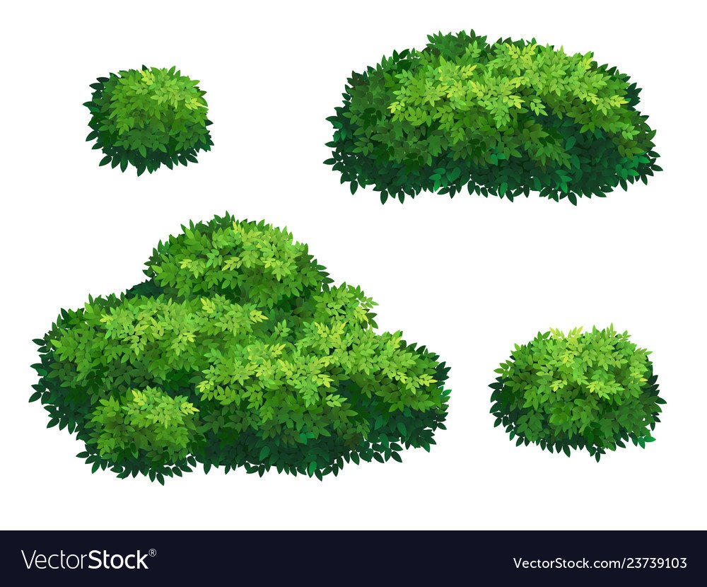 Зеленые кусты Art