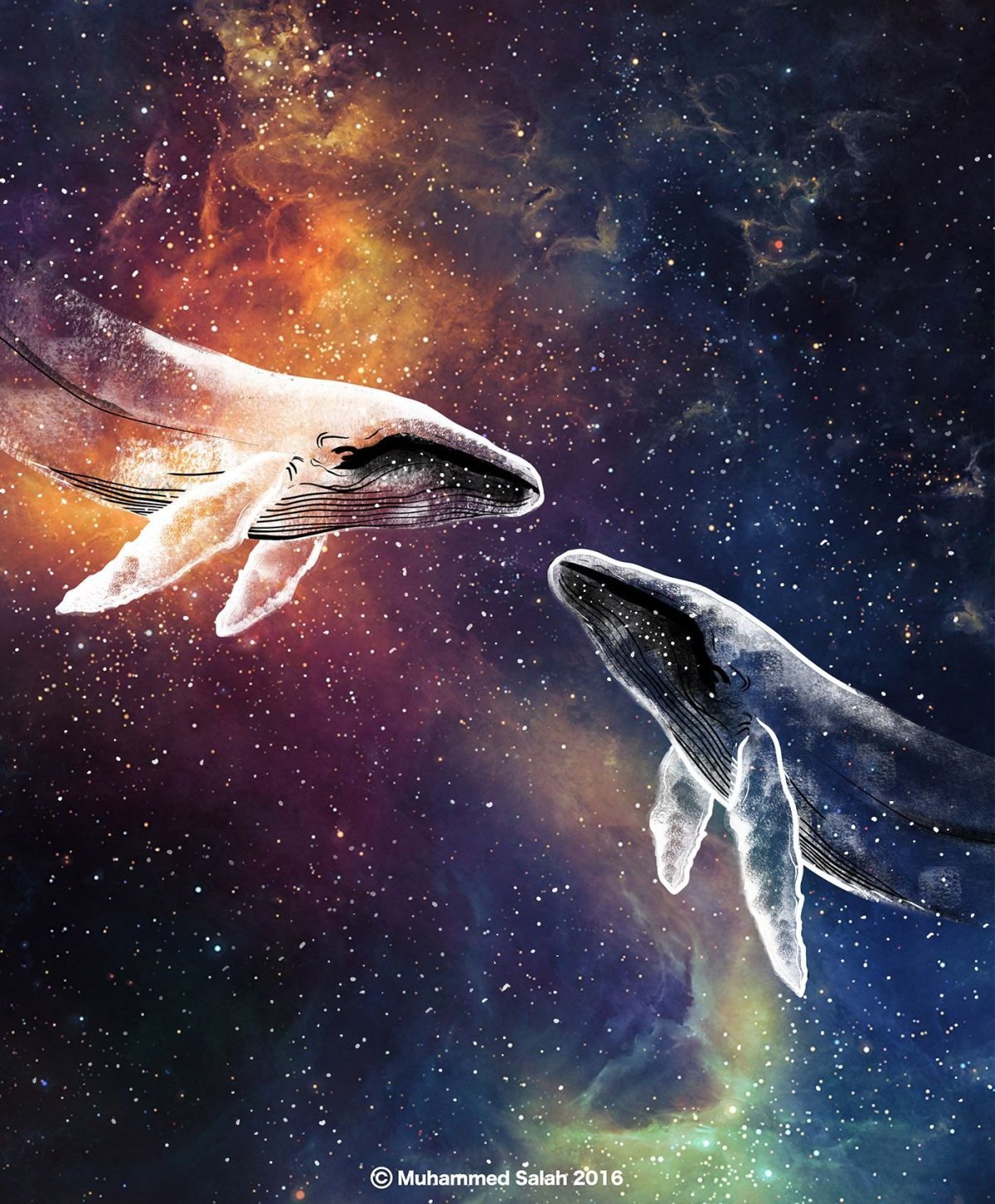 Киты в небе космос