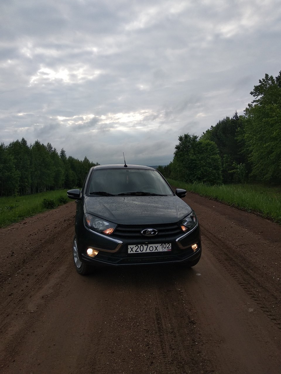 Лада Гранта фл Борнео тонированная