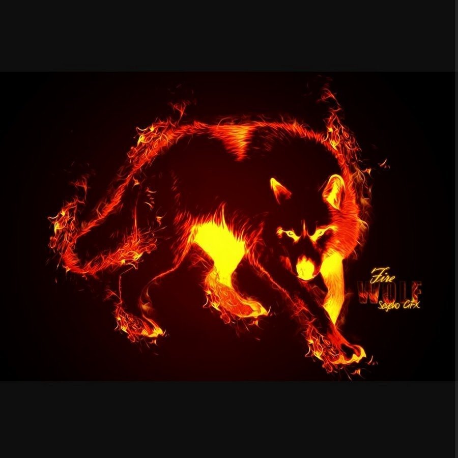 Волк картинки на телефон