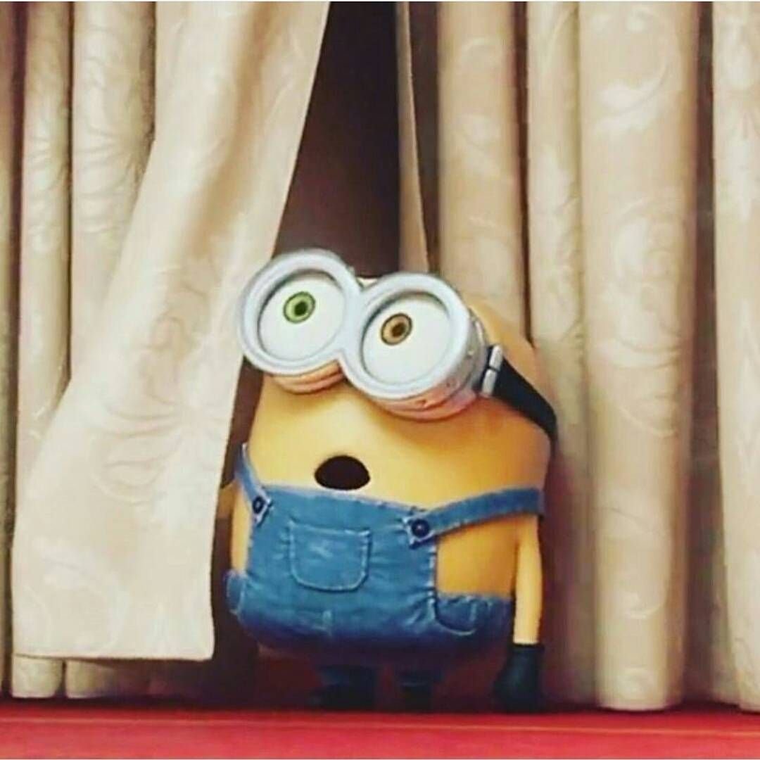 Миньоны Эстетика