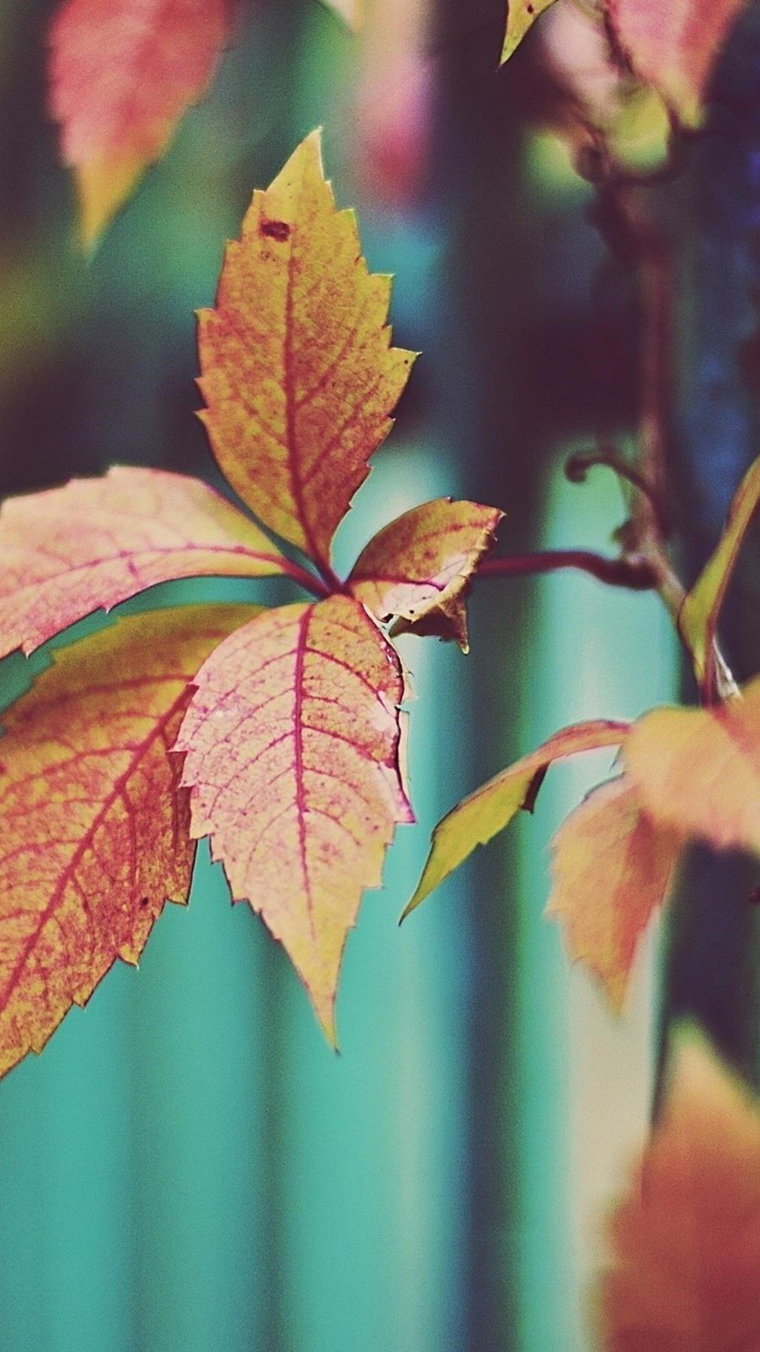 Осенний уют