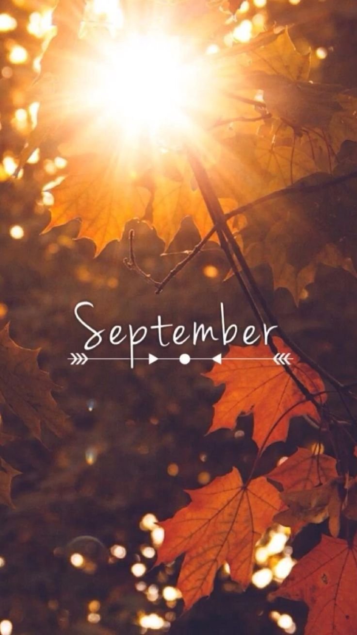 Осень книга кофе