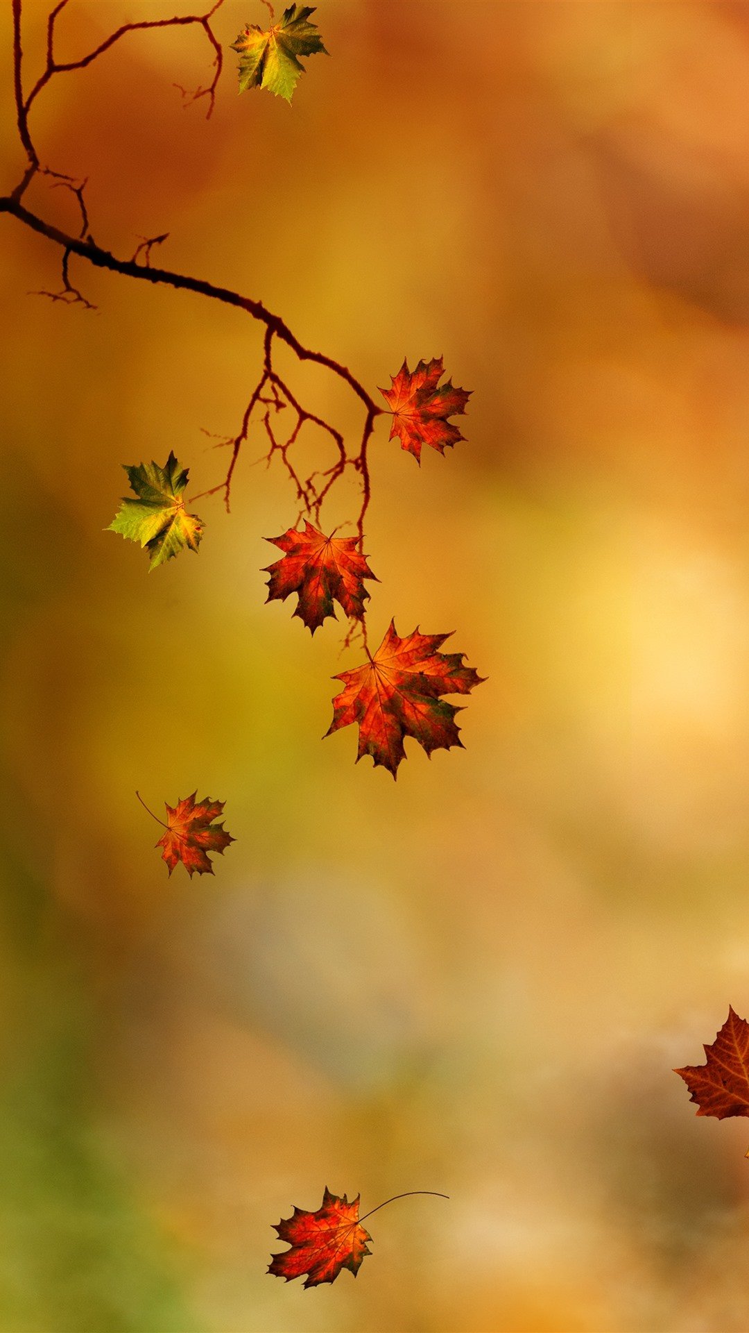 Обои на рабочий стол ноябрь