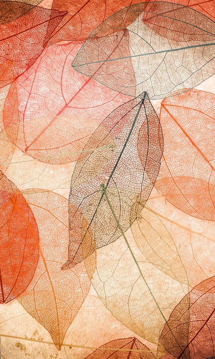 Осенняя тематика Минимализм