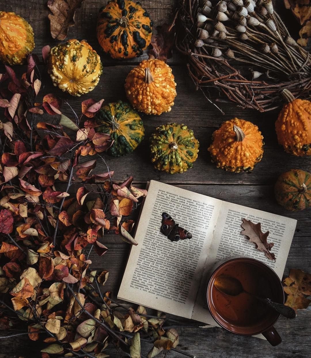 Волшебная осень