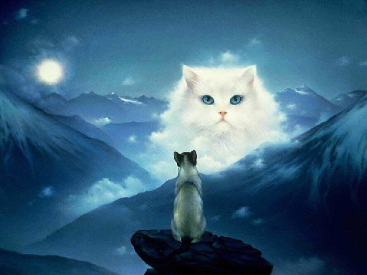 Мечтающая кошка. Волшебные кошки. Мистические кошки. Небесная кошка. Лунные кошки.