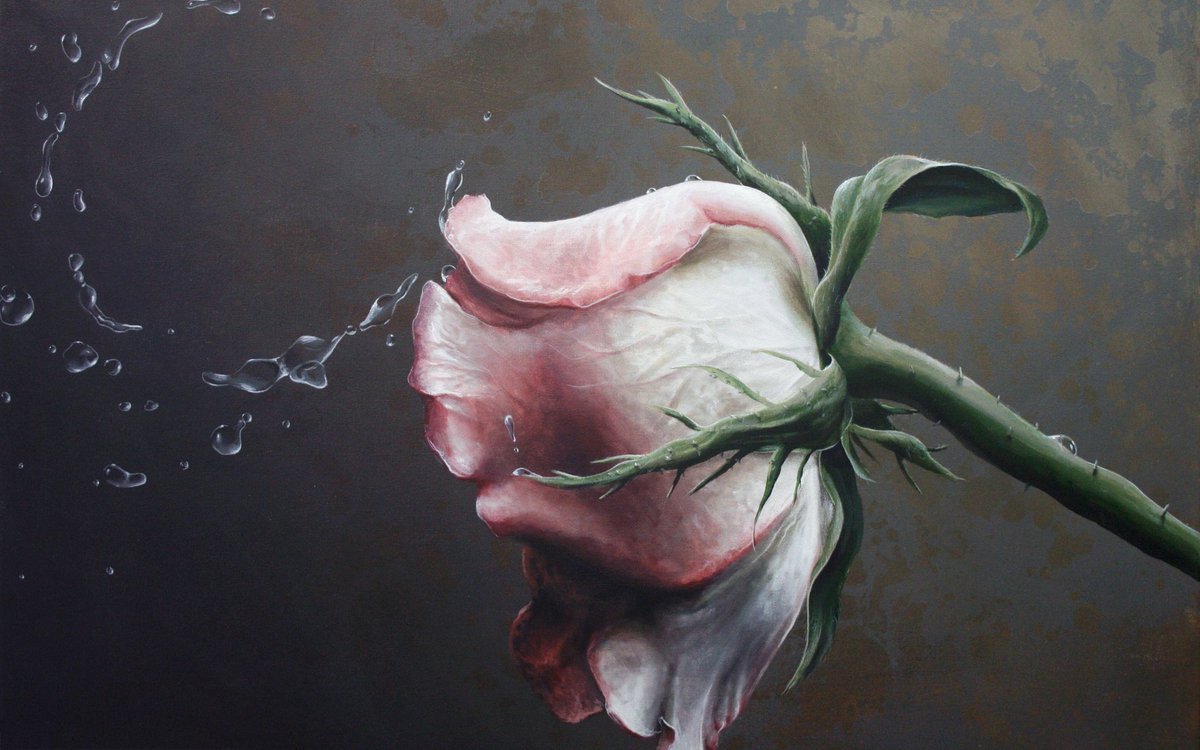 Цветы на темном фоне живопись