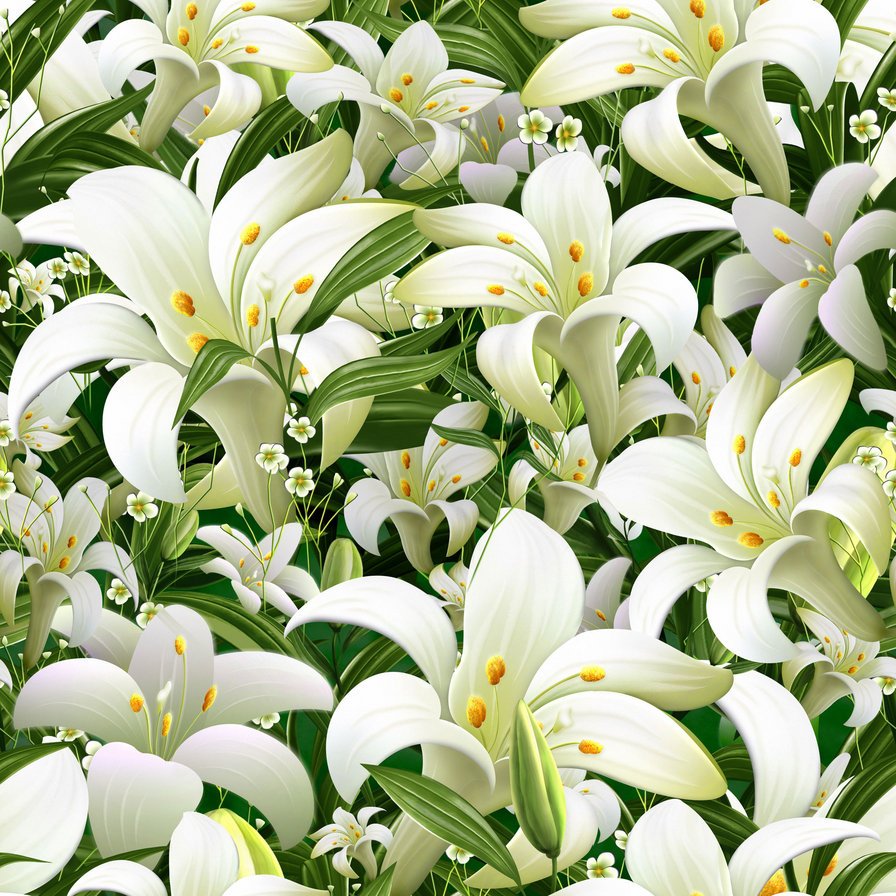 Белые лилии в саду