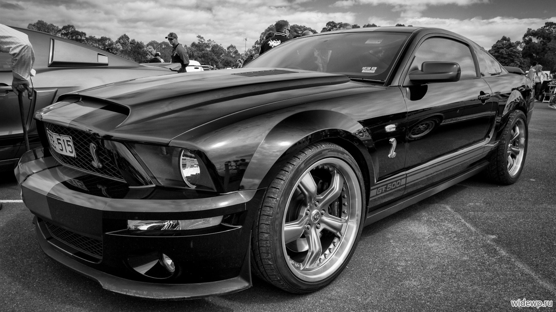Shelby Mustang gt500 арт