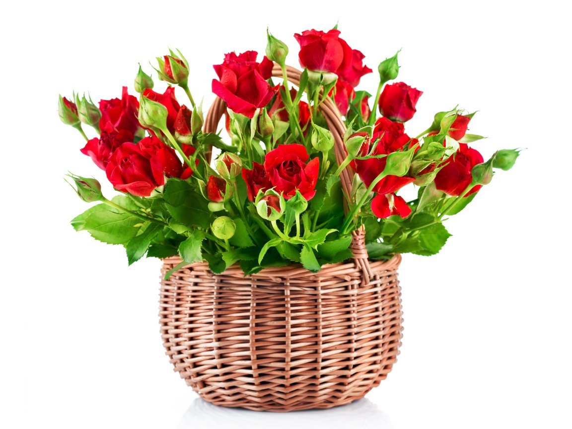 Букет цветов на белом фоне