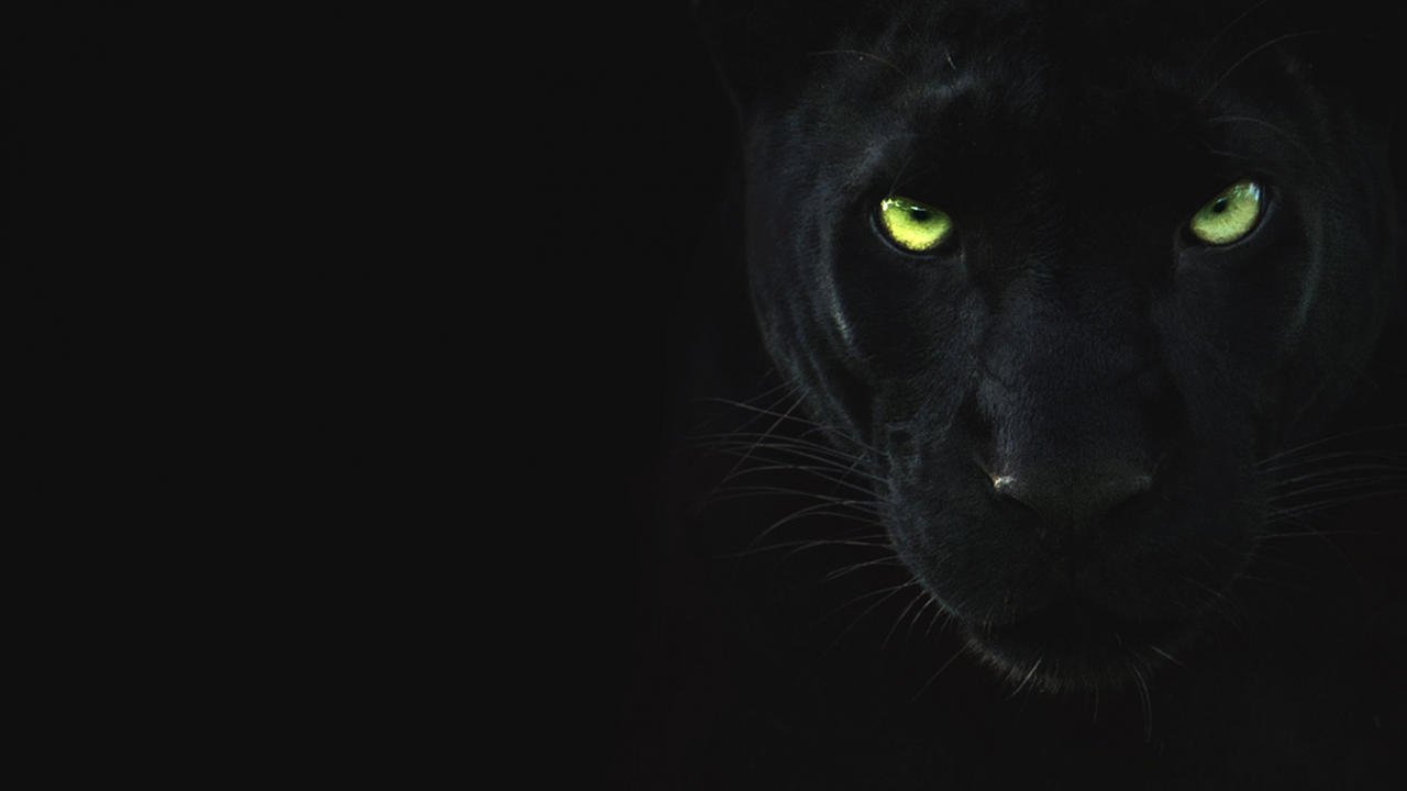 Глаза черной пантеры